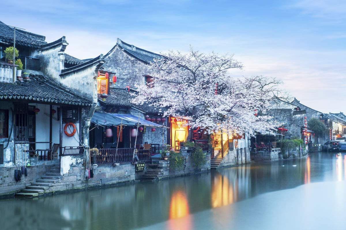 《木筏求生》河豚位置